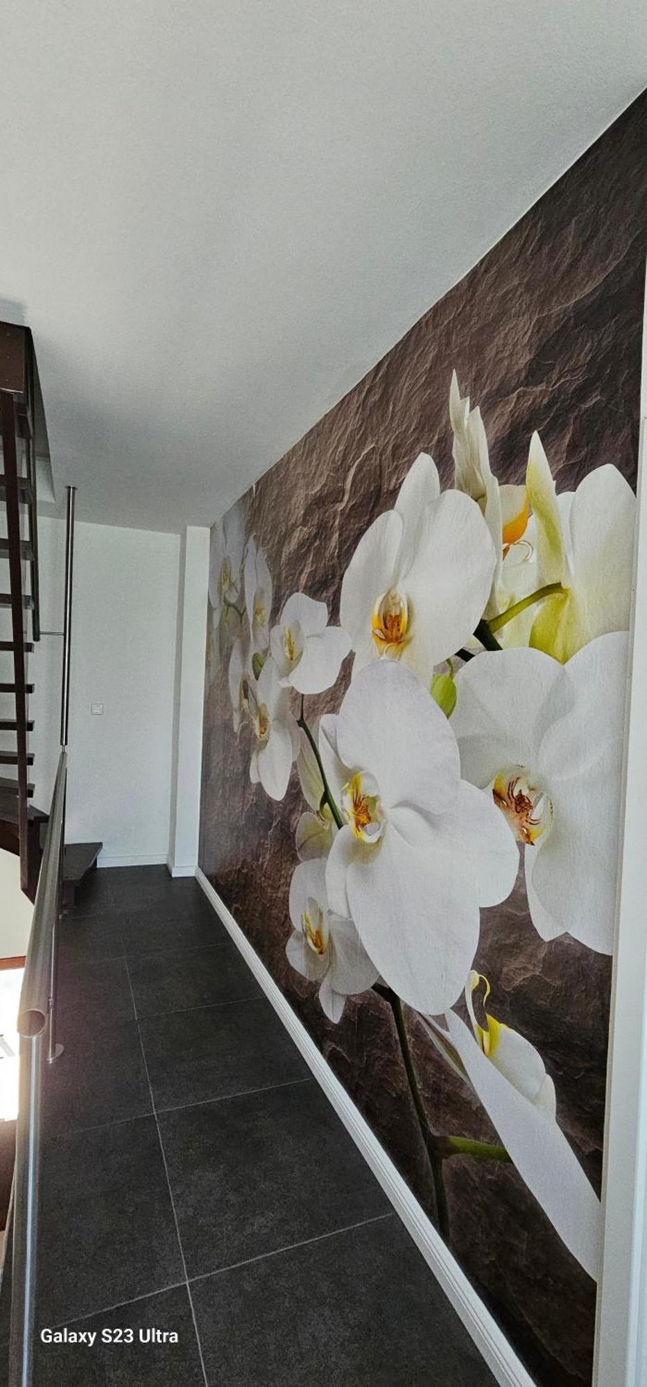 Gaestehaus Orchidee 호야 외부 사진